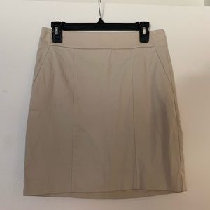 Ann Taylor Skirt